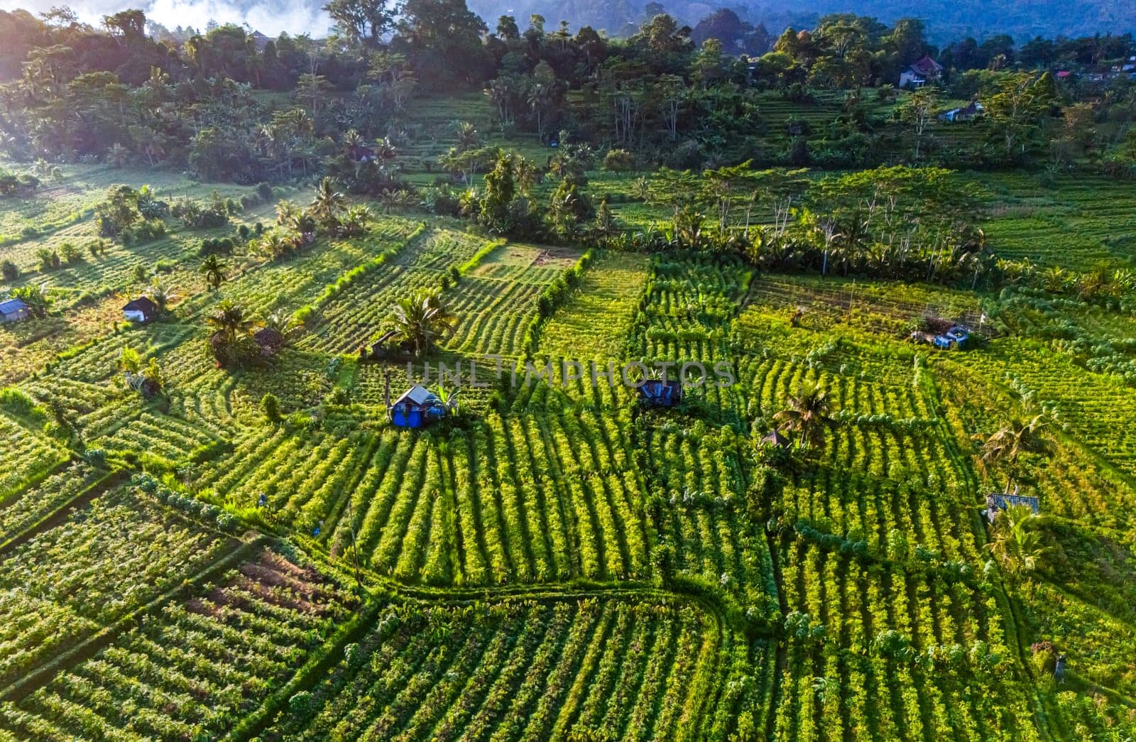 Agricultural landscape of Sidemen, in Karangasem Regency, Bali, Indonesia