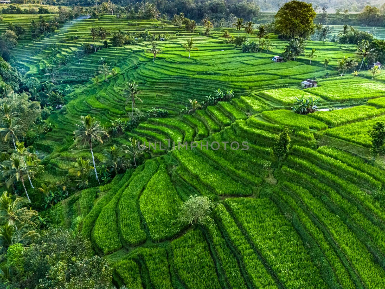 Landscape view of Jatiluwih Rice Terraces in Penebel District, Tabanan Regency, Bali, Indonesia. UNESCO's world's cultural heritage site