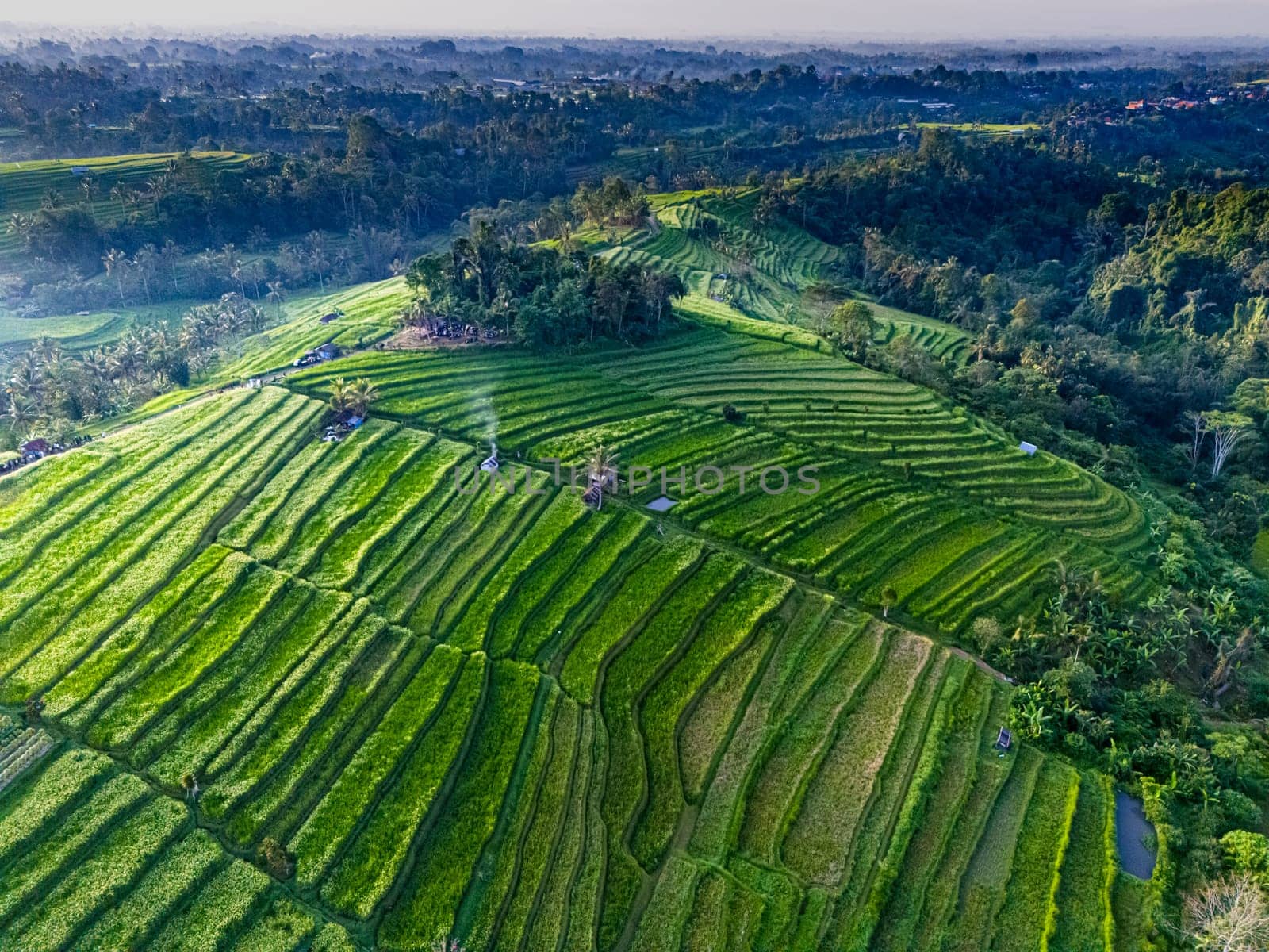 Landscape view of Jatiluwih Rice Terraces in Penebel District, Tabanan Regency, Bali, Indonesia. UNESCO's world's cultural heritage site
