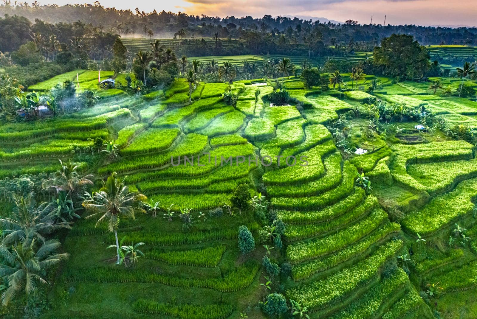 Landscape view of Jatiluwih Rice Terraces in Penebel District, Tabanan Regency, Bali, Indonesia. UNESCO's world's cultural heritage site