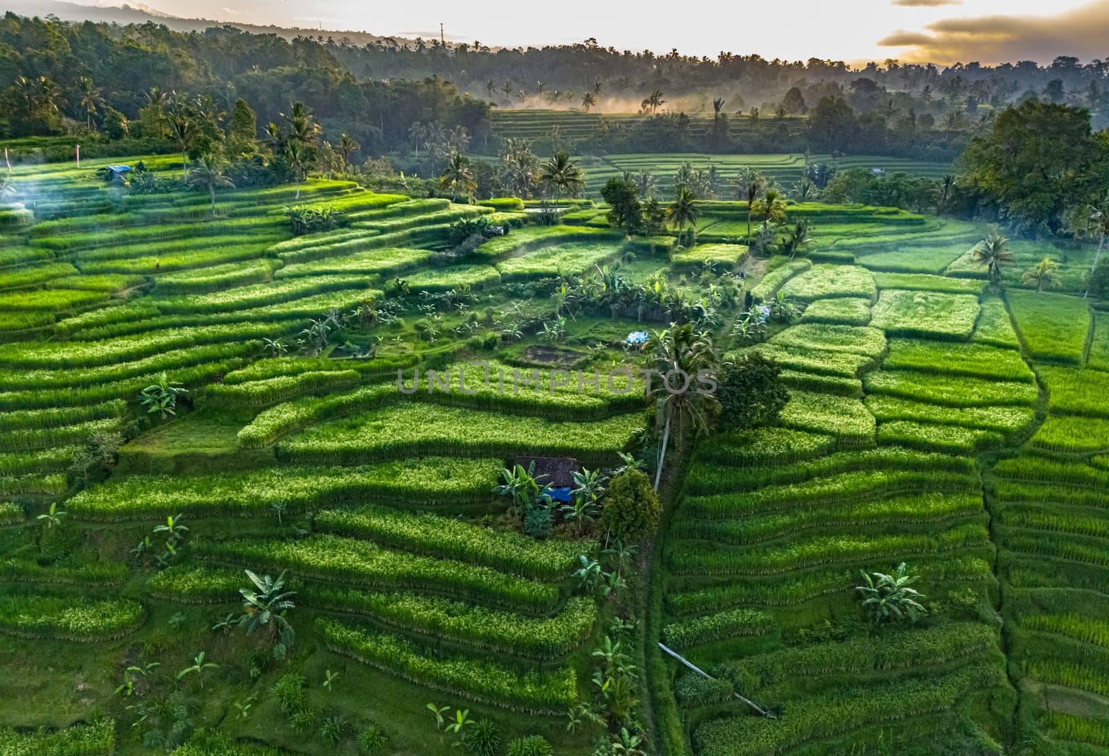 Landscape view of Jatiluwih Rice Terraces in Penebel District, Tabanan Regency, Bali, Indonesia. UNESCO's world's cultural heritage site