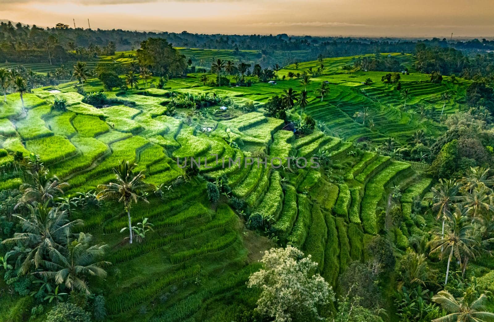 Landscape view of Jatiluwih Rice Terraces in Penebel District, Tabanan Regency, Bali, Indonesia. UNESCO's world's cultural heritage site