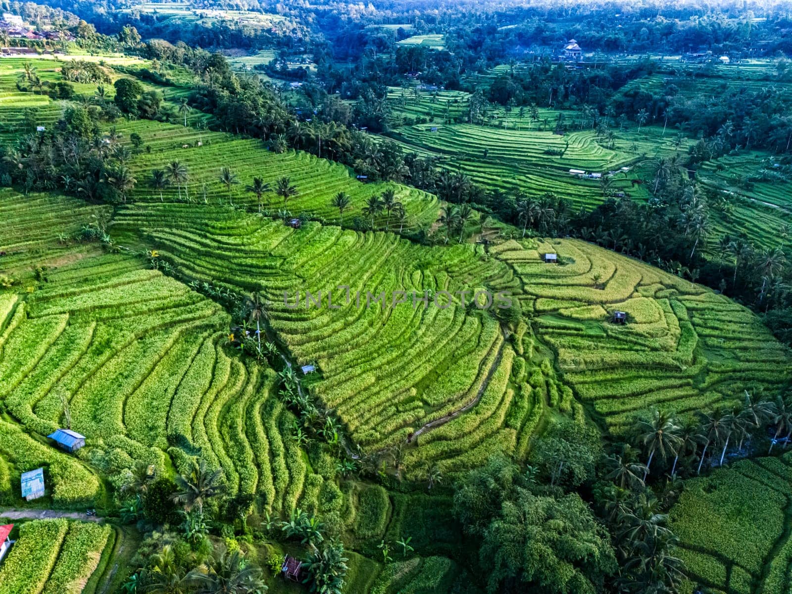 Landscape view of Jatiluwih Rice Terraces in Penebel District, Tabanan Regency, Bali, Indonesia. UNESCO's world's cultural heritage site