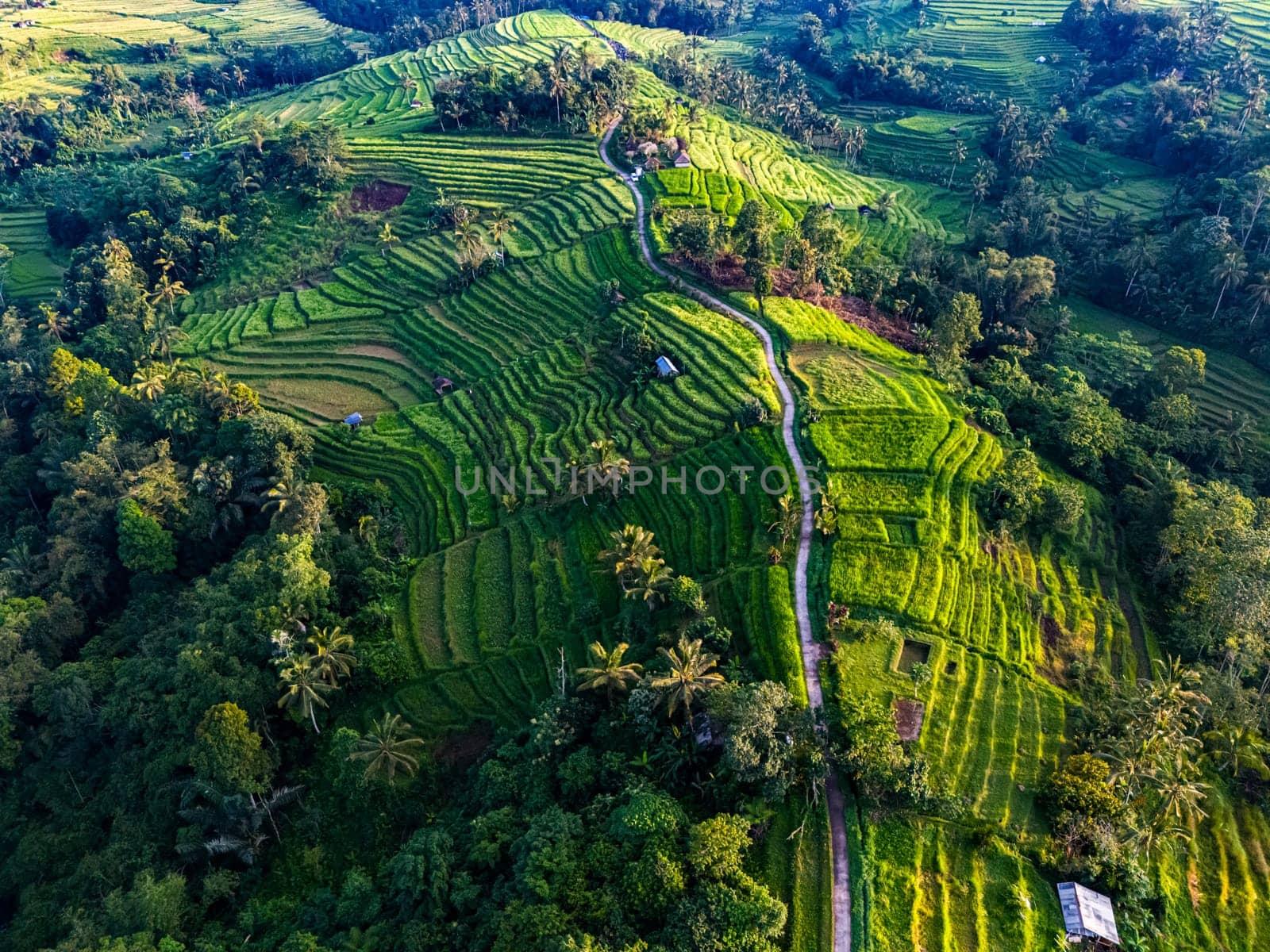 Landscape view of Jatiluwih Rice Terraces in Penebel District, Tabanan Regency, Bali, Indonesia. UNESCO's world's cultural heritage site