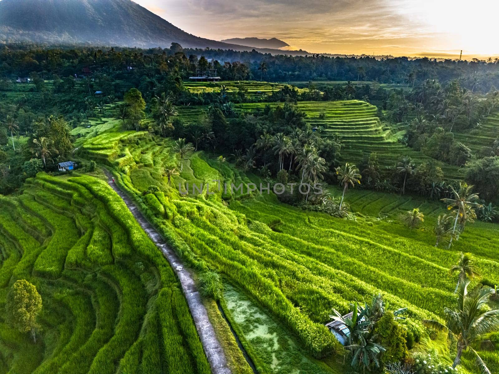 Landscape view of Jatiluwih Rice Terraces in Penebel District, Tabanan Regency, Bali, Indonesia. UNESCO's world's cultural heritage site