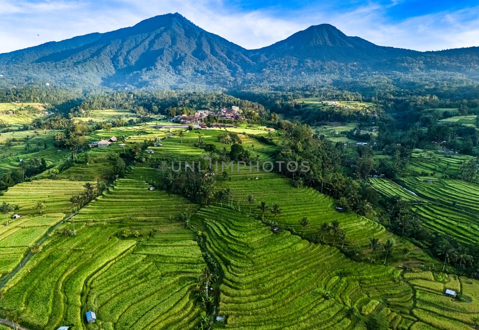 Landscape view of Jatiluwih Rice Terraces in Penebel District, Tabanan Regency, Bali, Indonesia. UNESCO's world's cultural heritage site