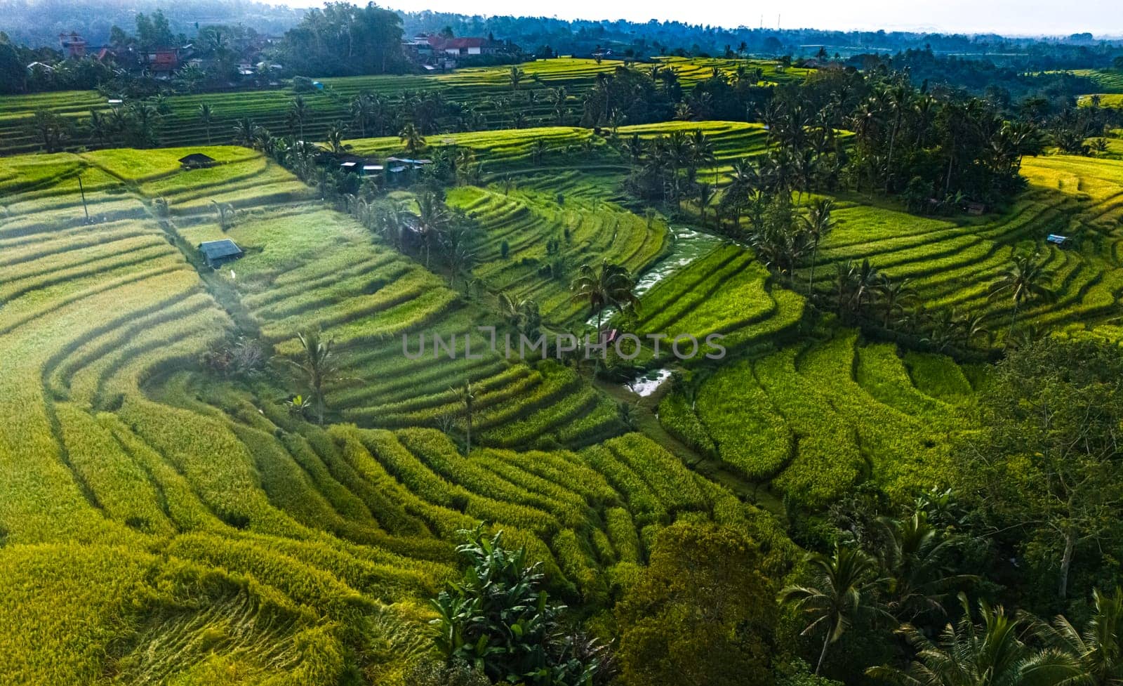 Landscape view of Jatiluwih Rice Terraces in Penebel District, Tabanan Regency, Bali, Indonesia. UNESCO's world's cultural heritage site