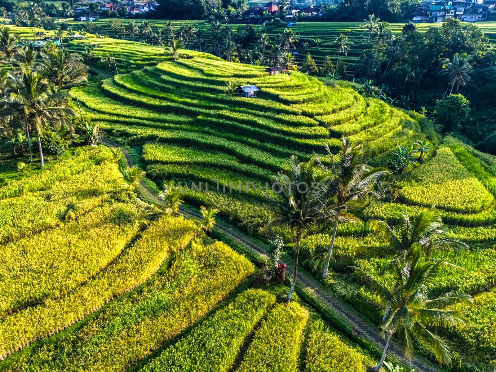 Landscape view of Jatiluwih Rice Terraces in Penebel District, Tabanan Regency, Bali, Indonesia. UNESCO's world's cultural heritage site