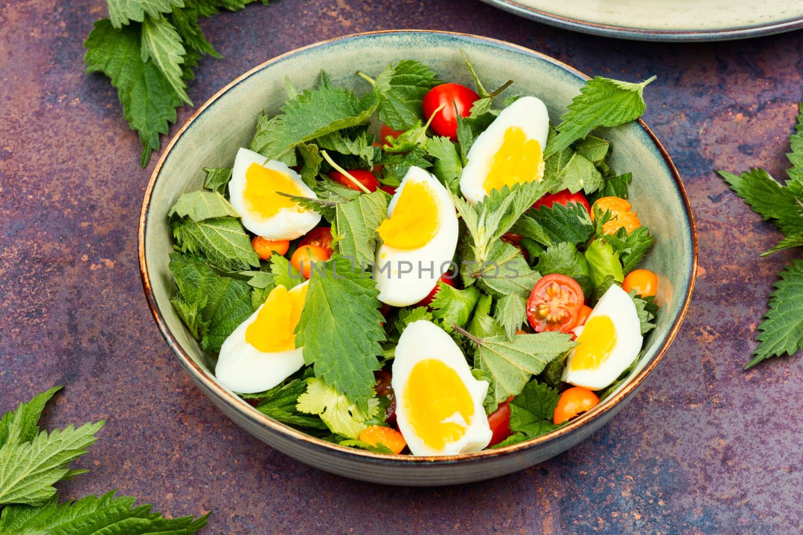 Herbal green salad with nettles, tomatoes and eggs. Ukrainian food. Copy space.