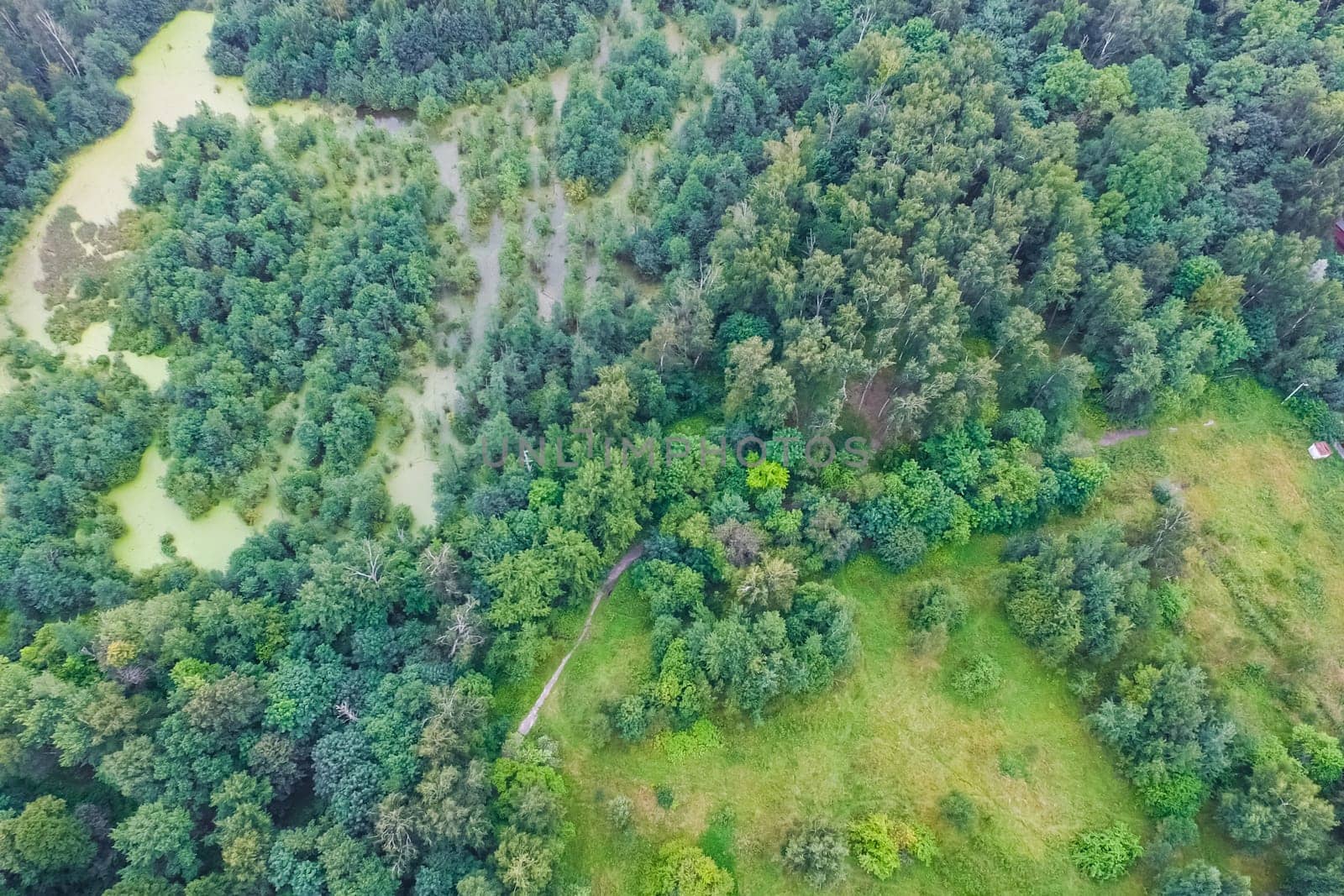 Top view of the village, fields and forests near the village