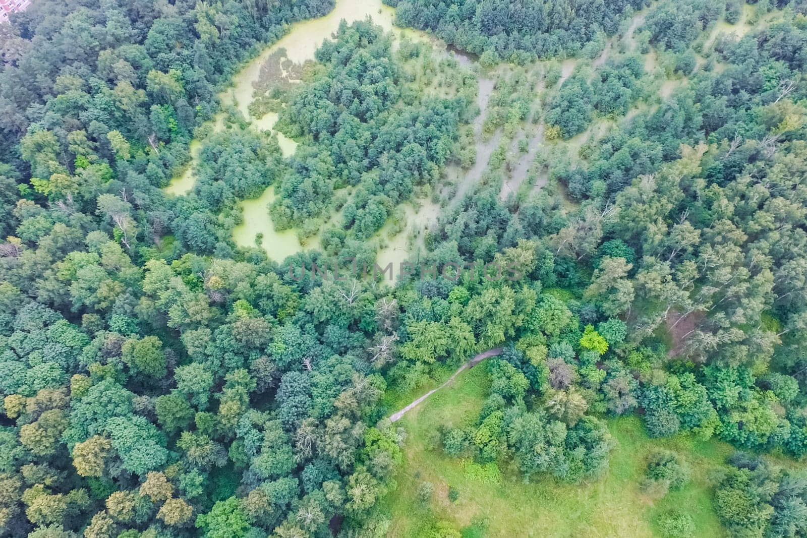 Top view of the village, fields and forests near the village