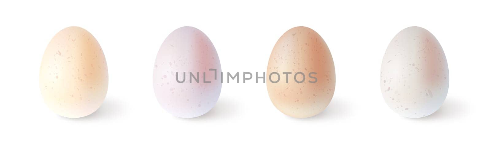 Set of realistic chicken eggs. Vector illustration isolated on white