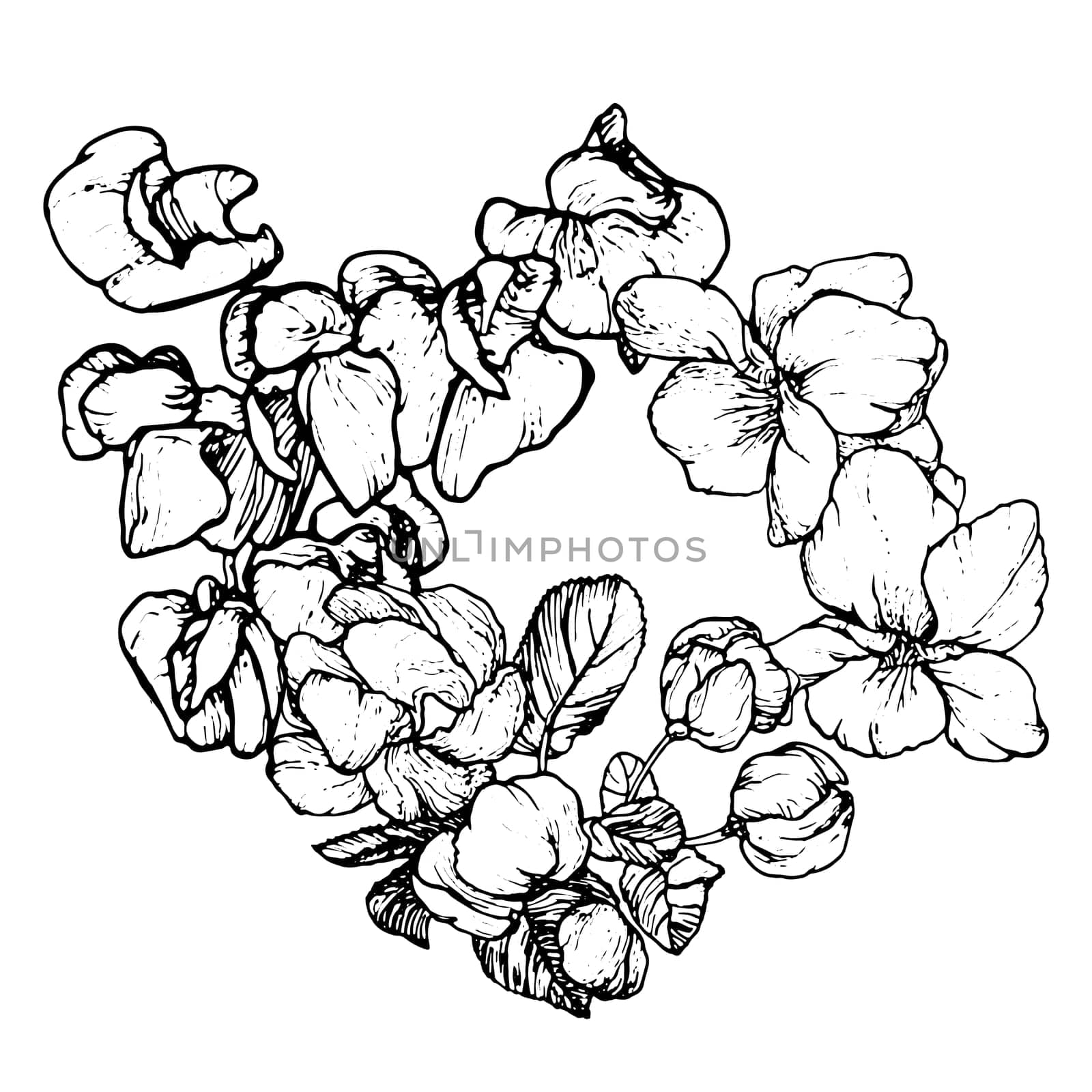 Floral wreath. Flower arrangement vector