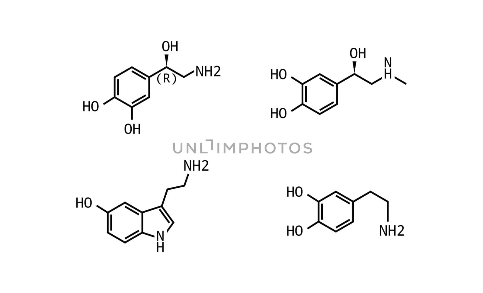 Neurotransmitter vector doodle illustration isolated
