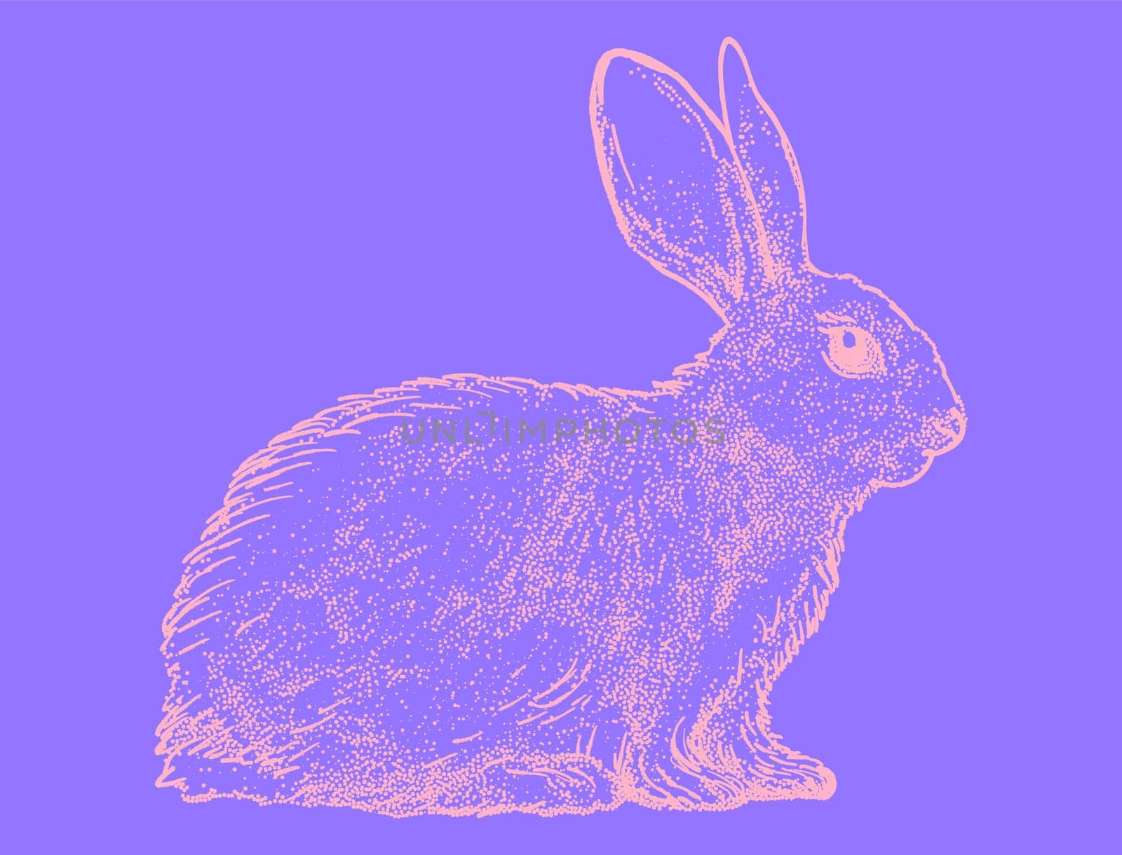 Hand Drawn Sketch Rabbit for Your Design. Psychedelic