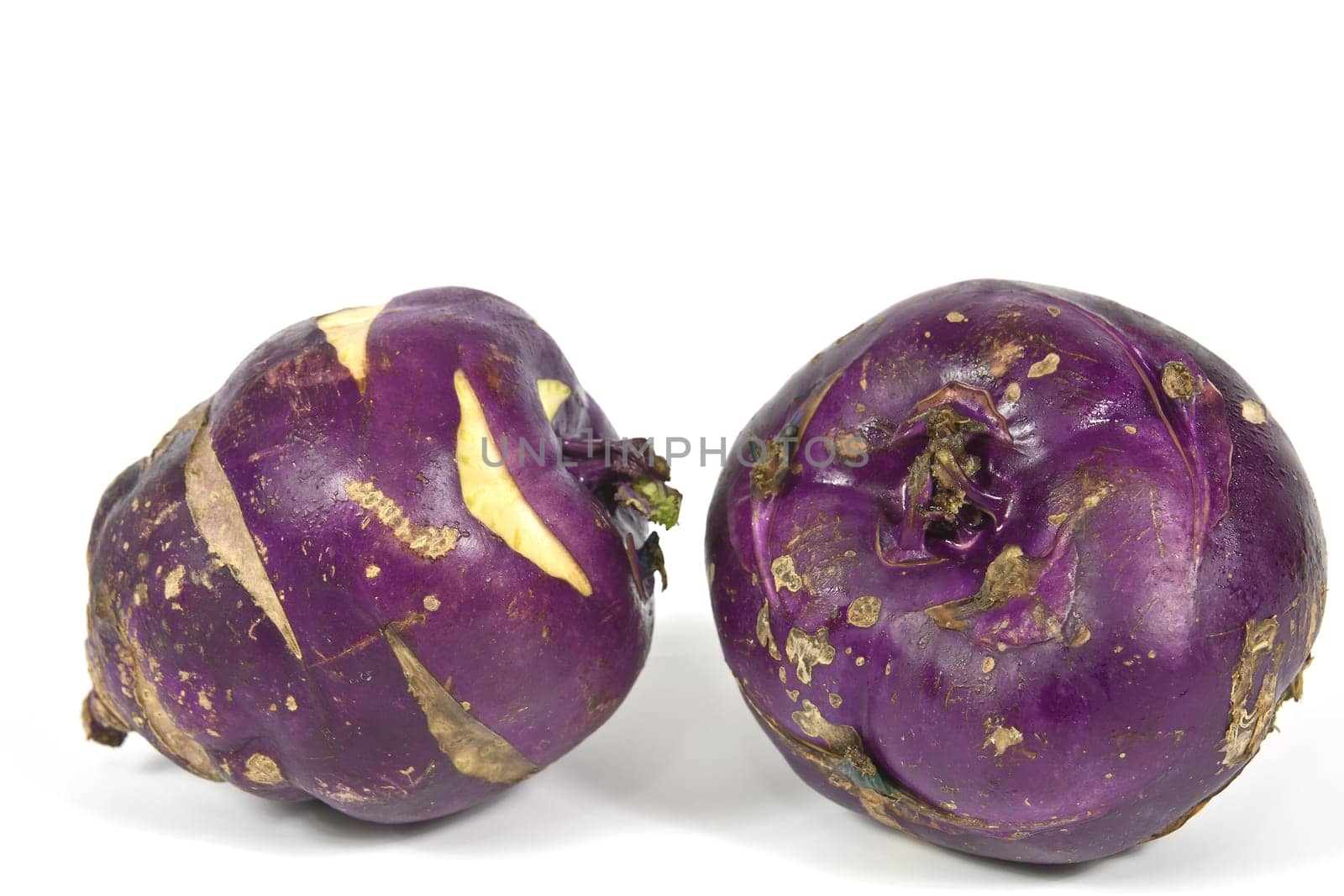 Kohlrabi vegetable with a rounded stem with dark purple color on a white background