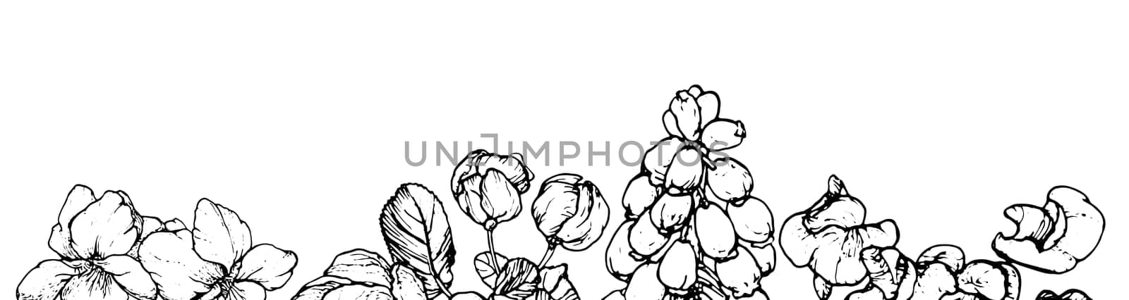 Spring flowers drawing with line-art on white