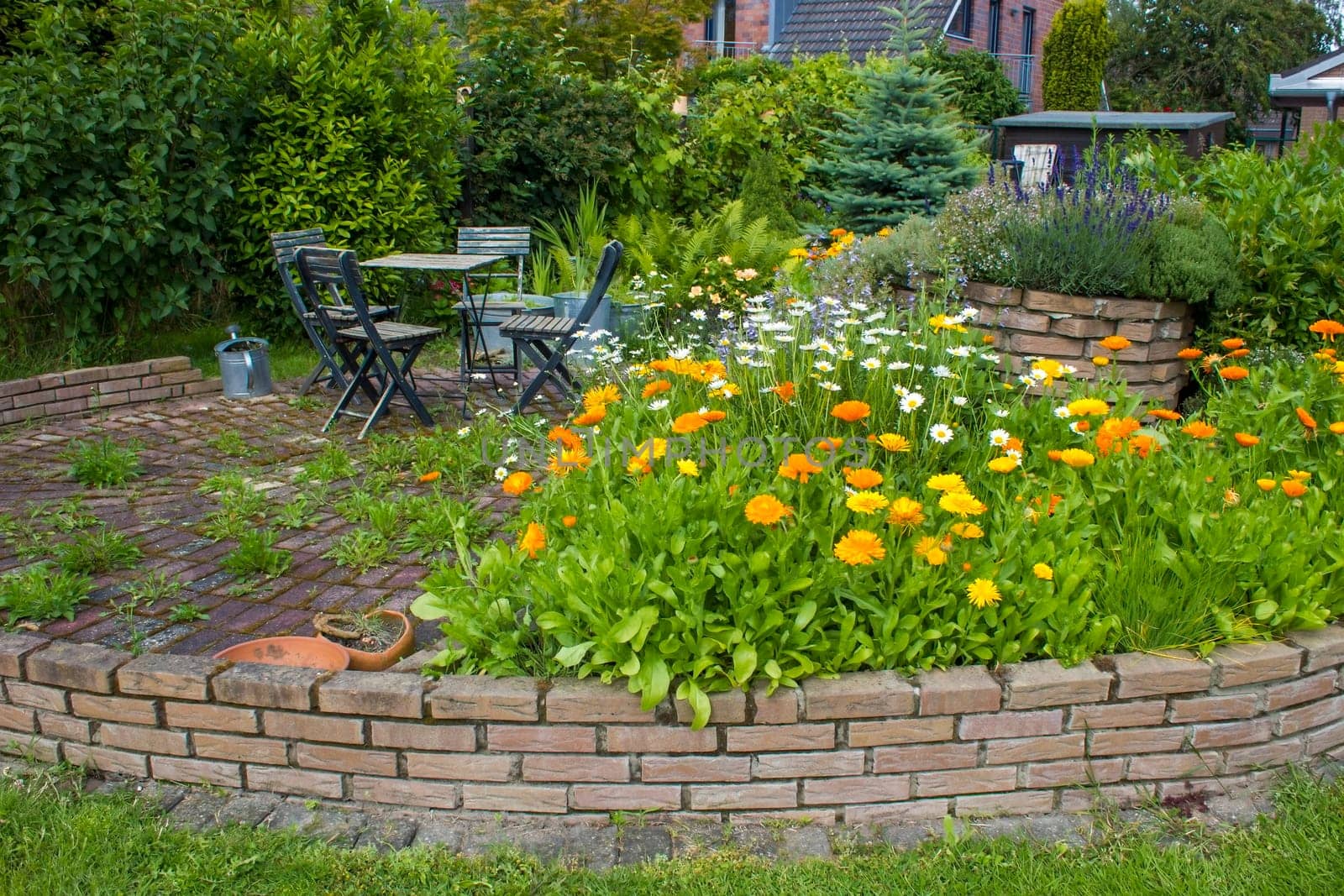 herb spiral in the garden with fresh herbs and flowers