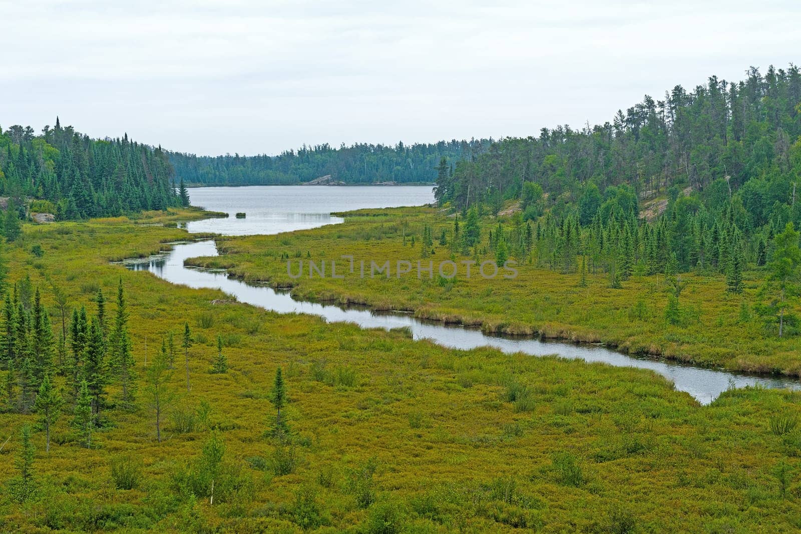 Boglands Surrounding a Wetlands Stream and Lake at McGillivray Lake in Whiteshell Provincial Park in Manitoba