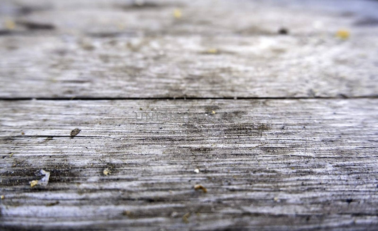 Detail of small pieces of stale bread on a table