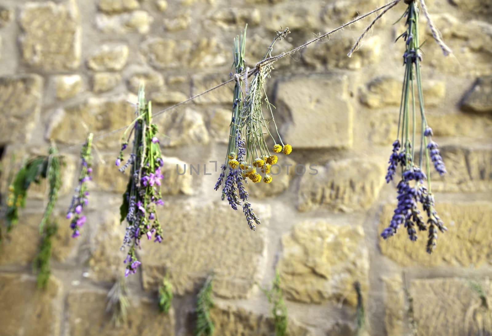 Detail of traditional drying of natural medicinal flowers