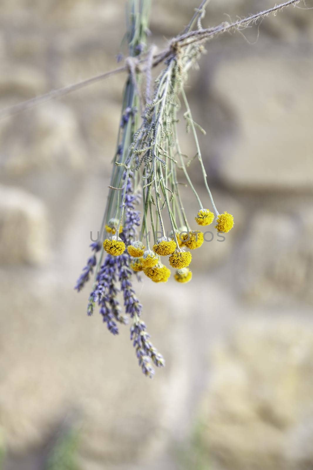 Detail of traditional drying of natural medicinal flowers