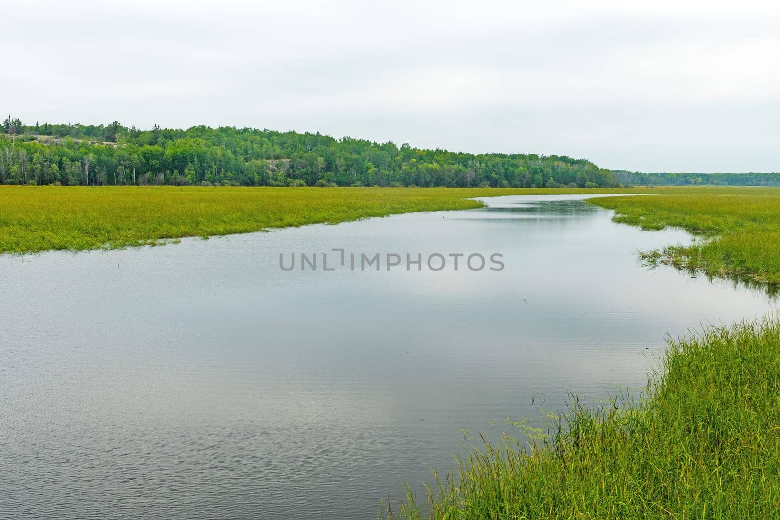 Quiet Channel Through a Reed Filled Lake on Heart Lake in Whitesell Provincial Park in Manitoba