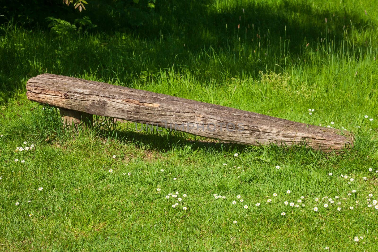 Wooden bench in a meadow, Germany