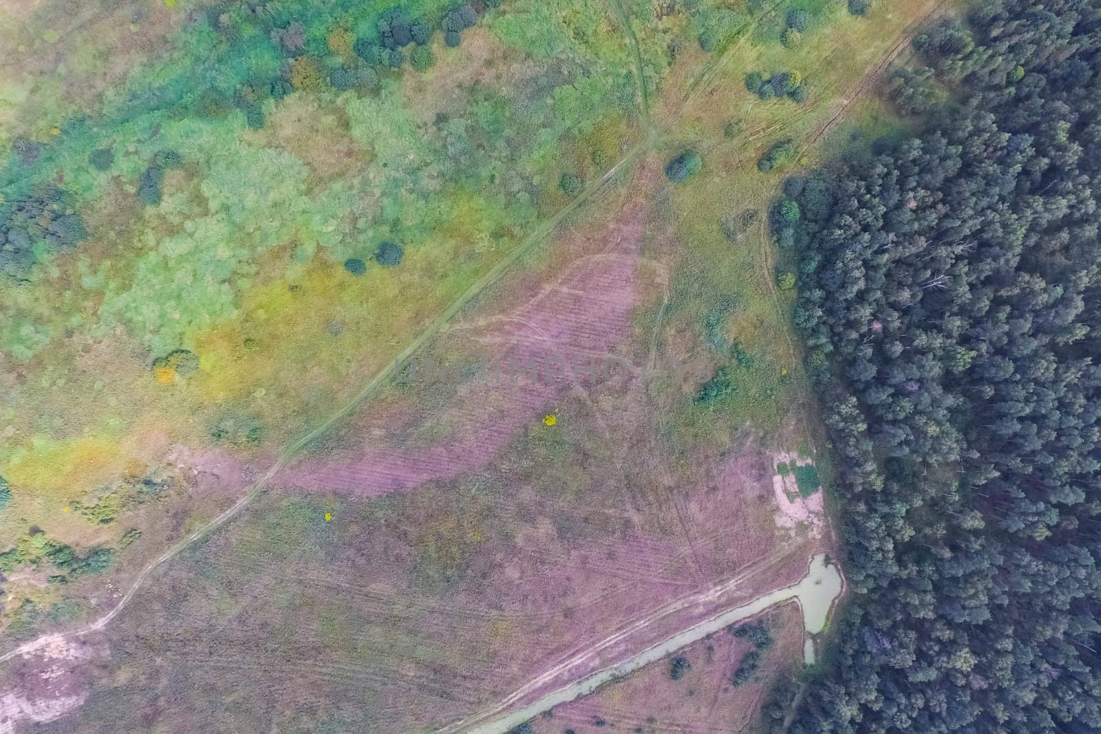 Top view of the village, fields and forests near the village