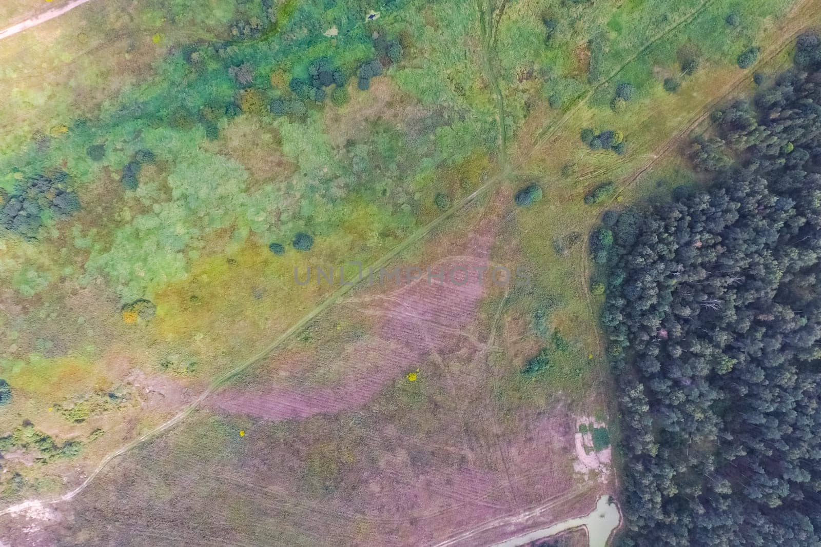 Top view of the village, fields and forests near the village