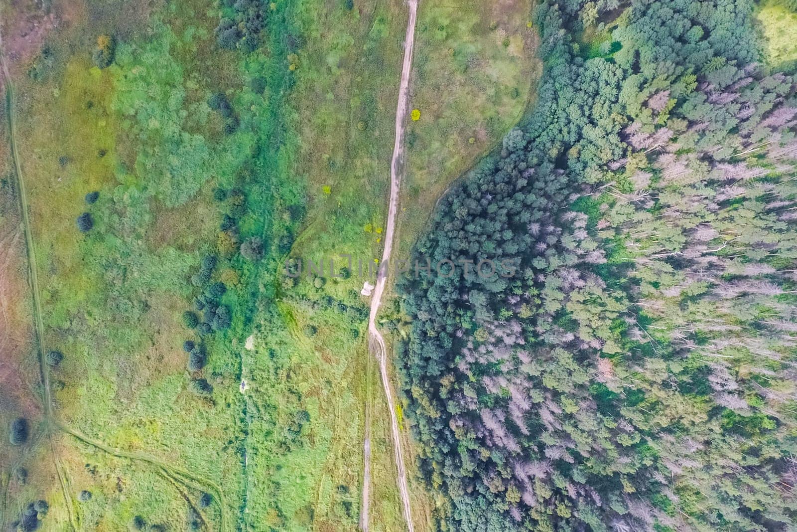 Top view of the village, fields and forests near the village