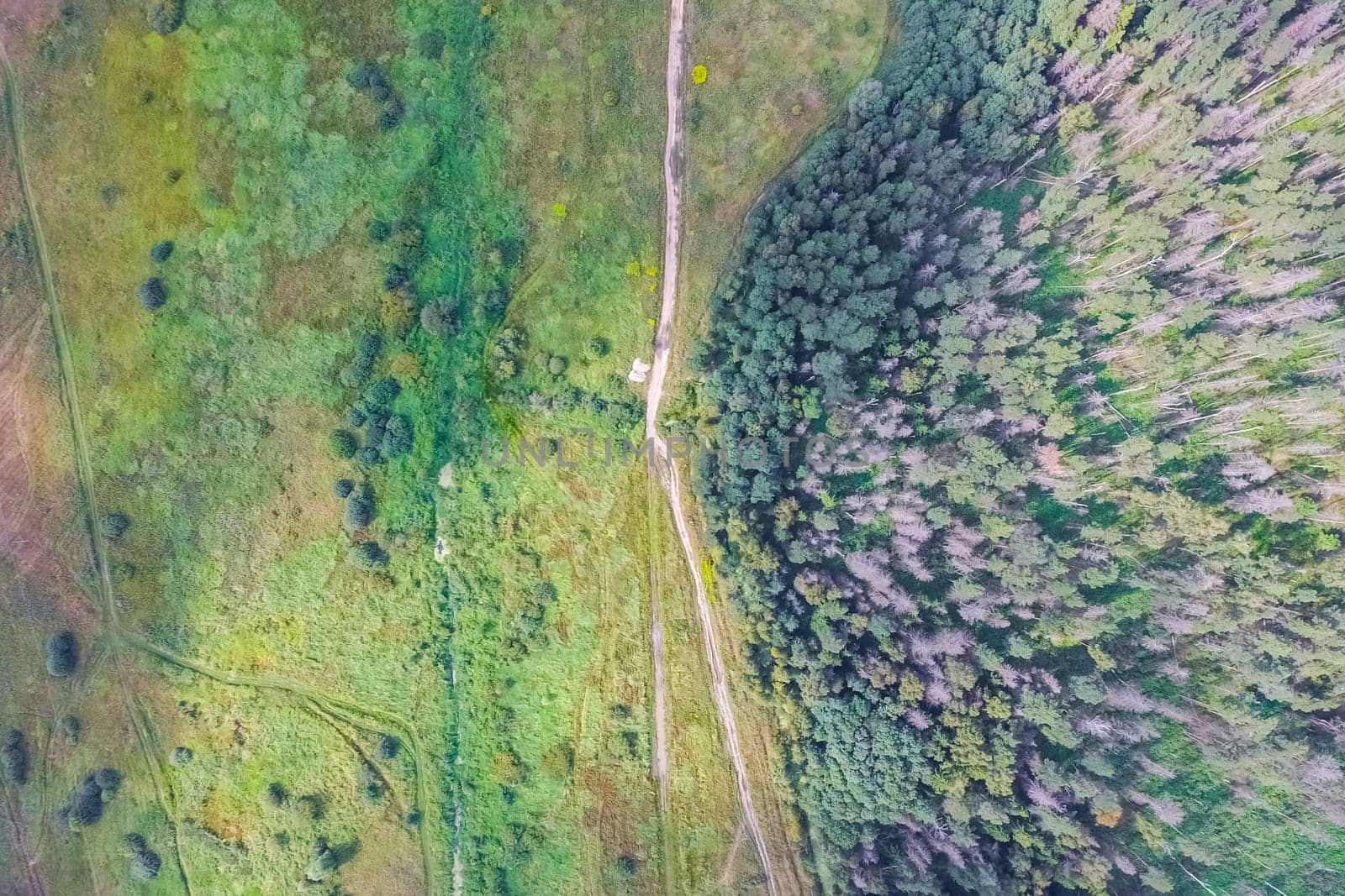 Top view of the village, fields and forests near the village