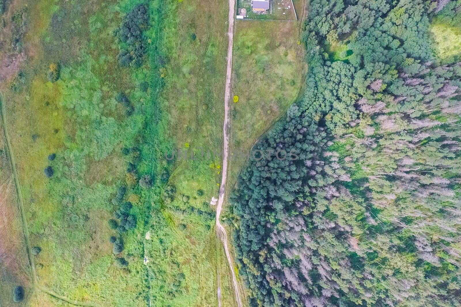 Top view of the village, fields and forests near the village