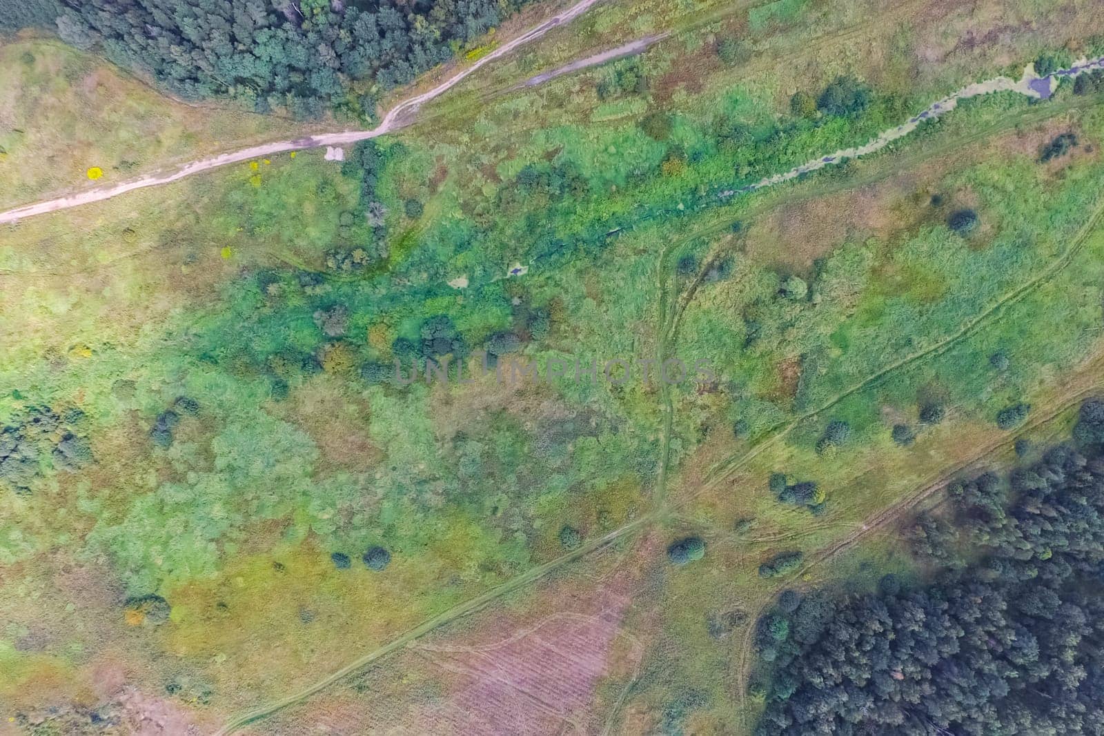 Top view of the village, fields and forests near the village