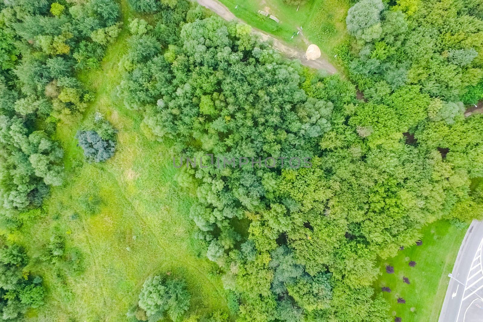 Suburban park and glade. Suburban landscape suburbs