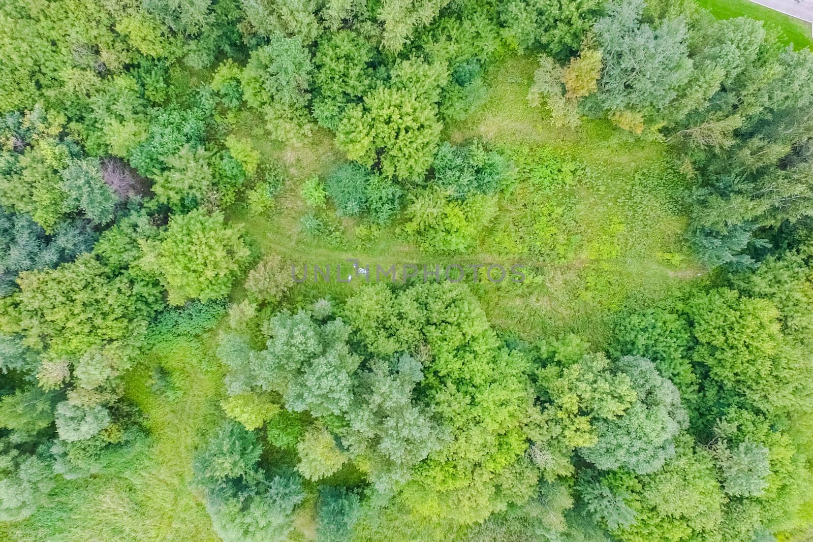 Suburban park and glade. Suburban landscape suburbs