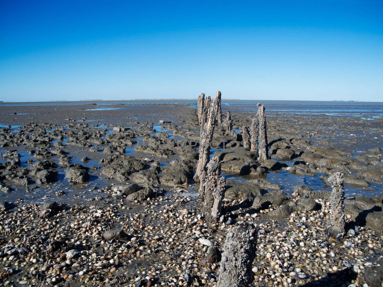 Wide angle view of the Lower Saxony Wadden Sea with weathered wooden groyne pillars near Neuharlingersiel with mirages of the East Frisian Islands on the horizon.