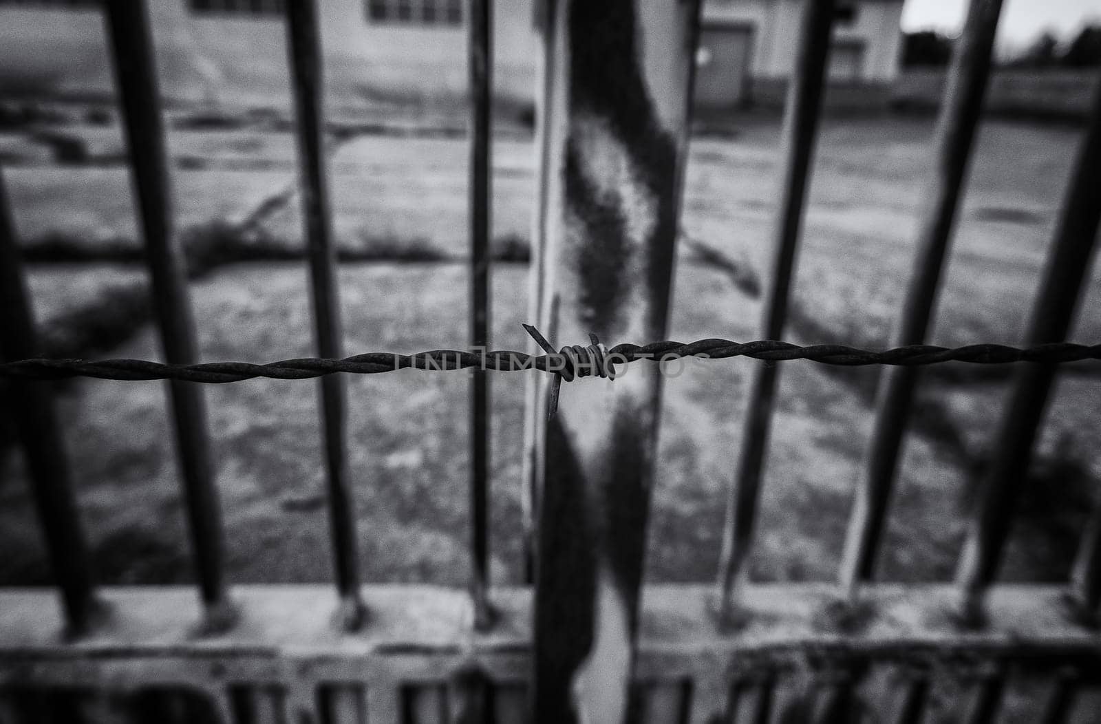 Barbed wire detail for protection and security