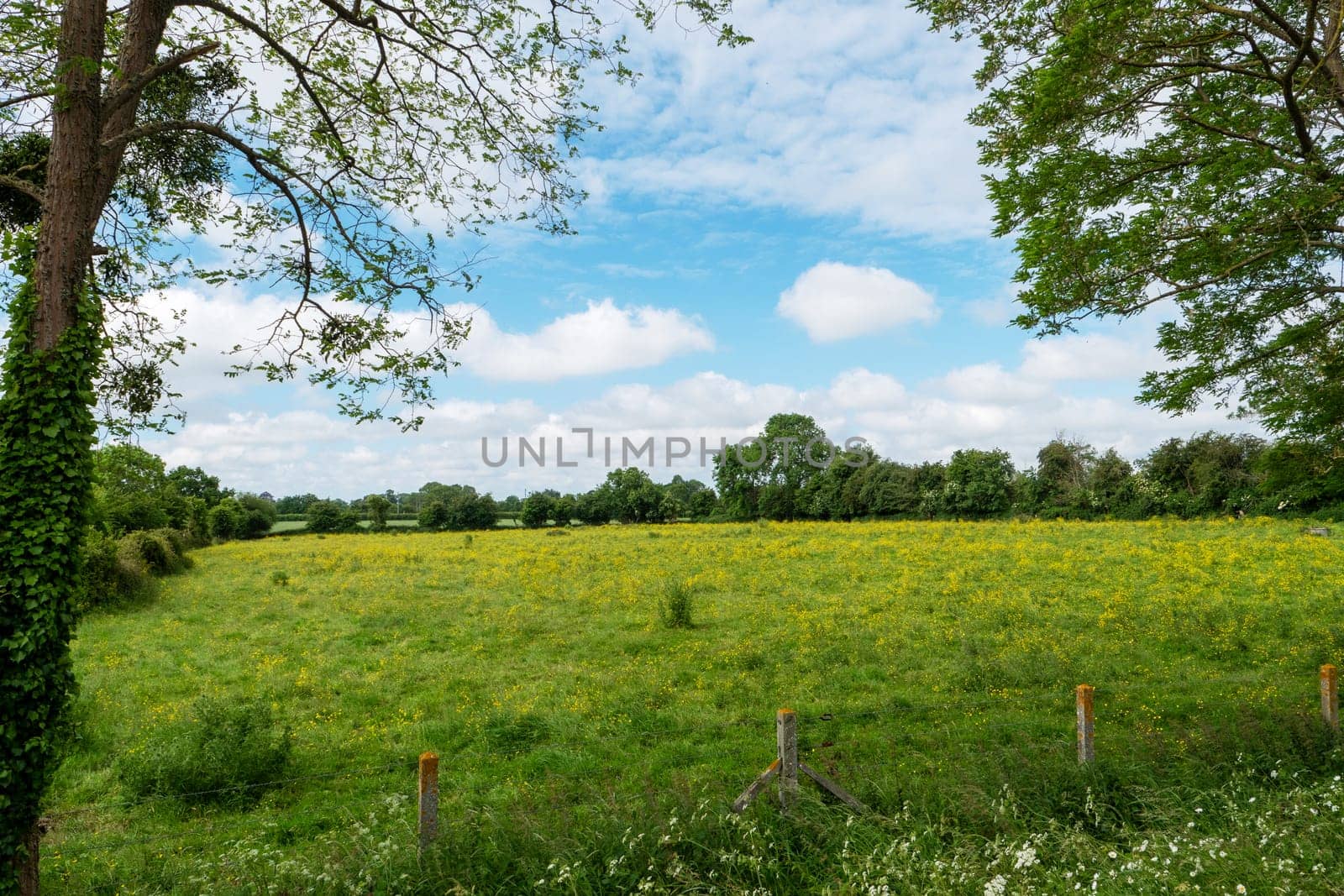 a view of normandy countryside, Bayeux, Calvados