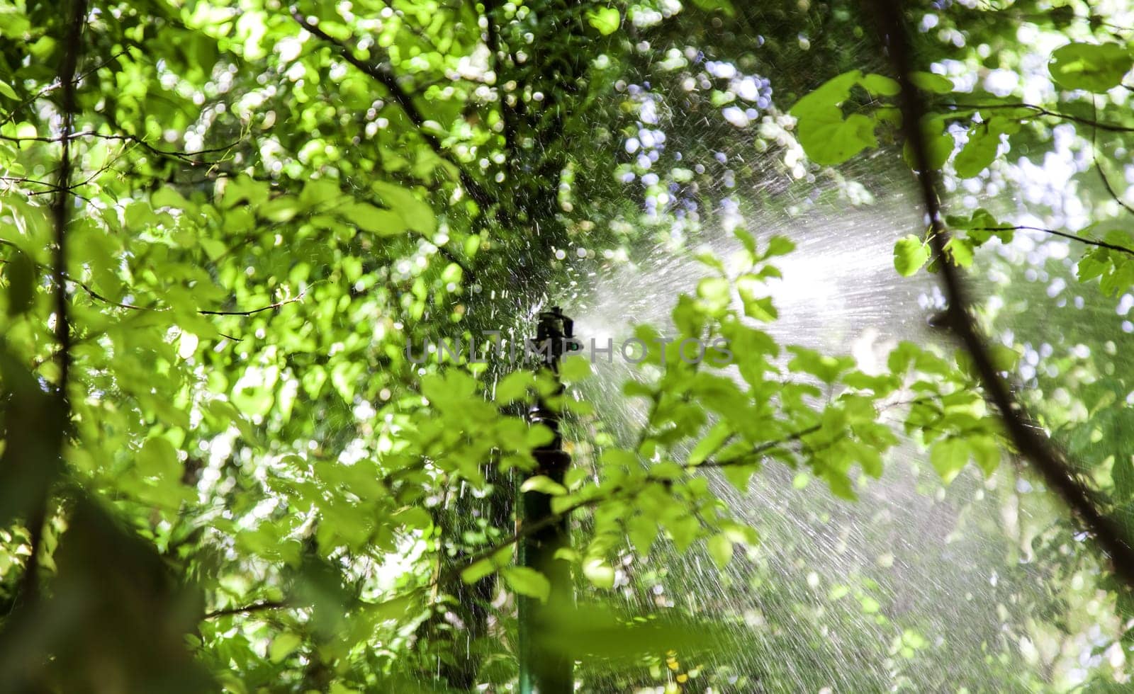 Detail of sprinkler throwing water to irrigate crops