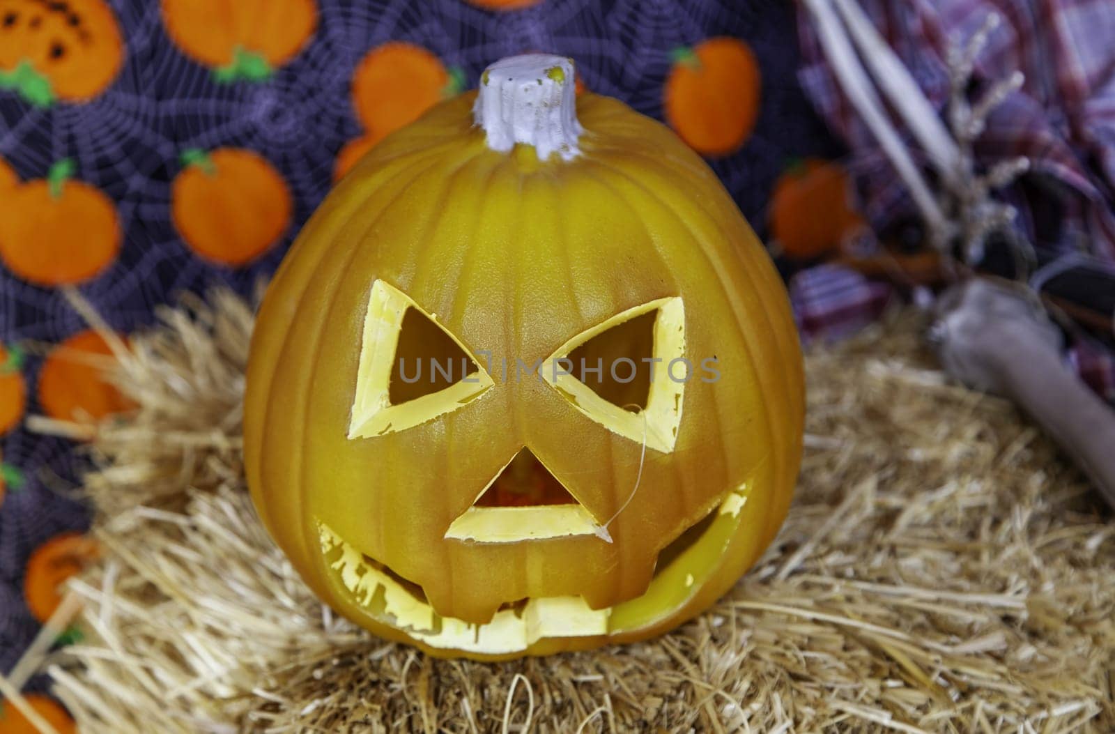 Detail for a typical Halloween trick or treat party