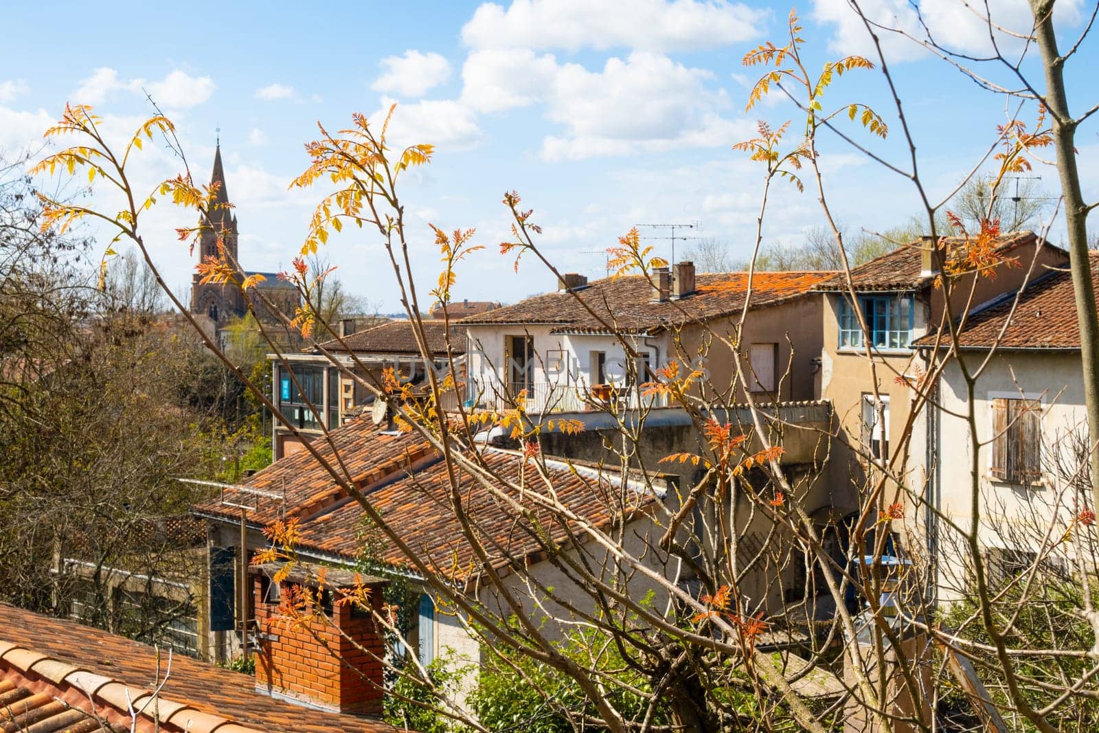 View of the roofs and Saint-Orens church in Montauban, France