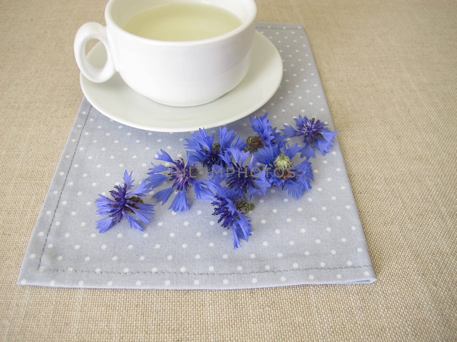 Herbal tea with petals from the blue cornflower flower