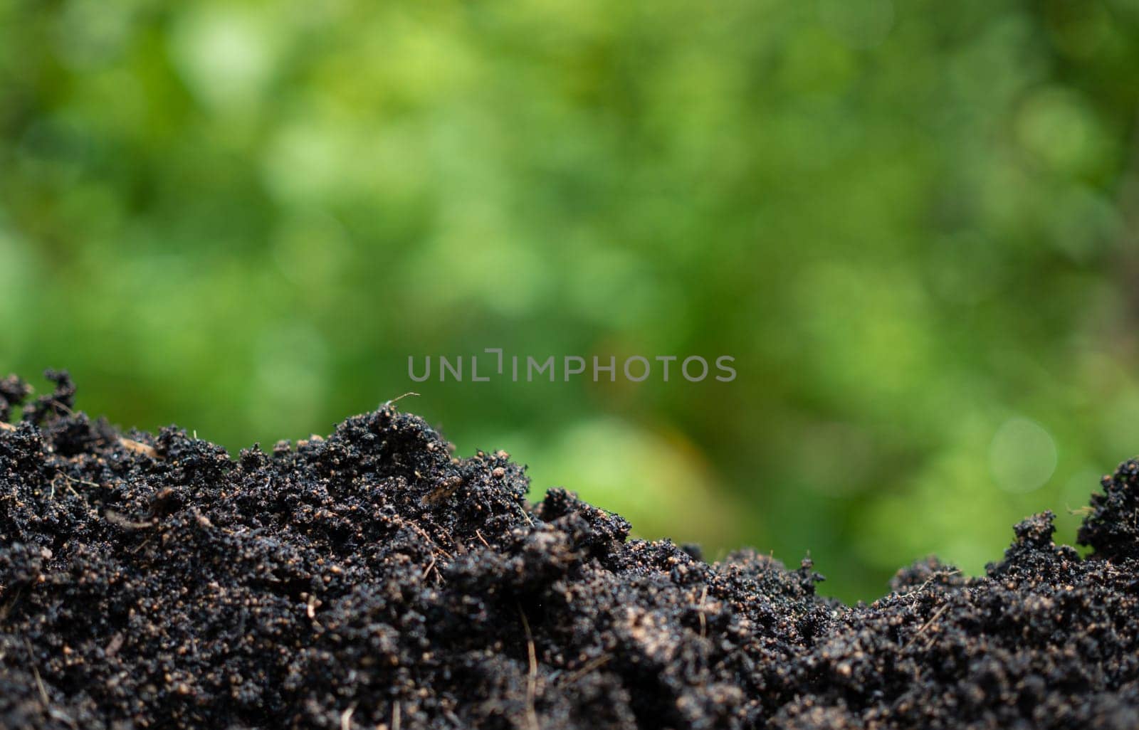 Background with soil and green from nature. Environmental protection concept, reforestation, CO2 reduction, recycle.