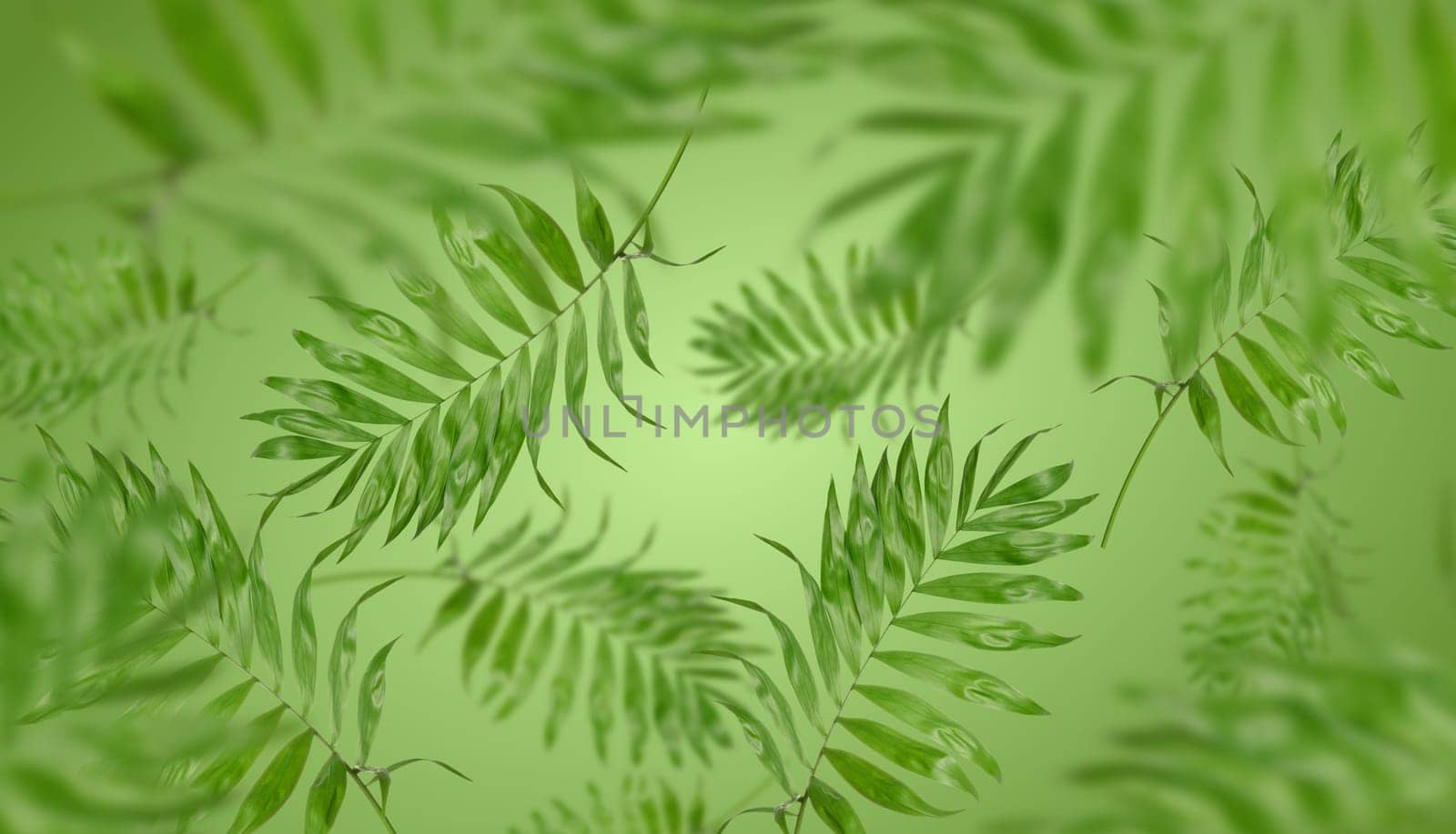 Green palm leaves levitate on a green background, sense of perspective