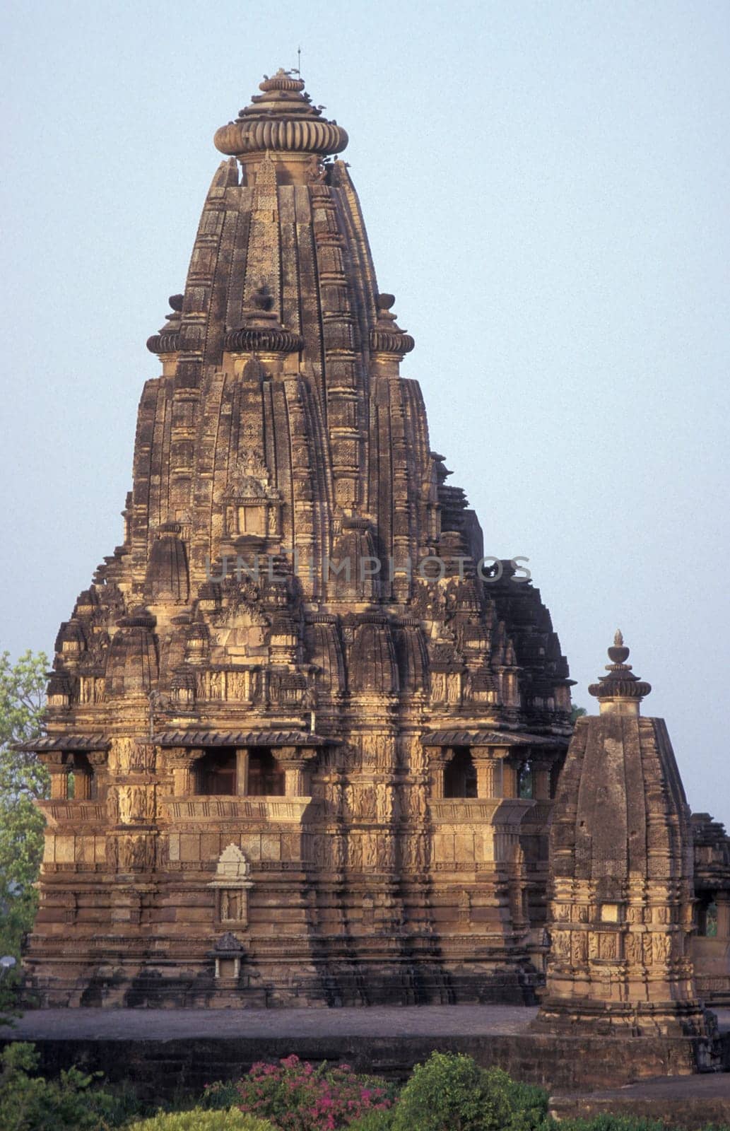 a view of the Erotic Temple and Hindu Temple of Kandarija Mahadeva Temple in the city of Khajurao in Province Madhya Pradesh in India.  India, Khajurao, April, 1998