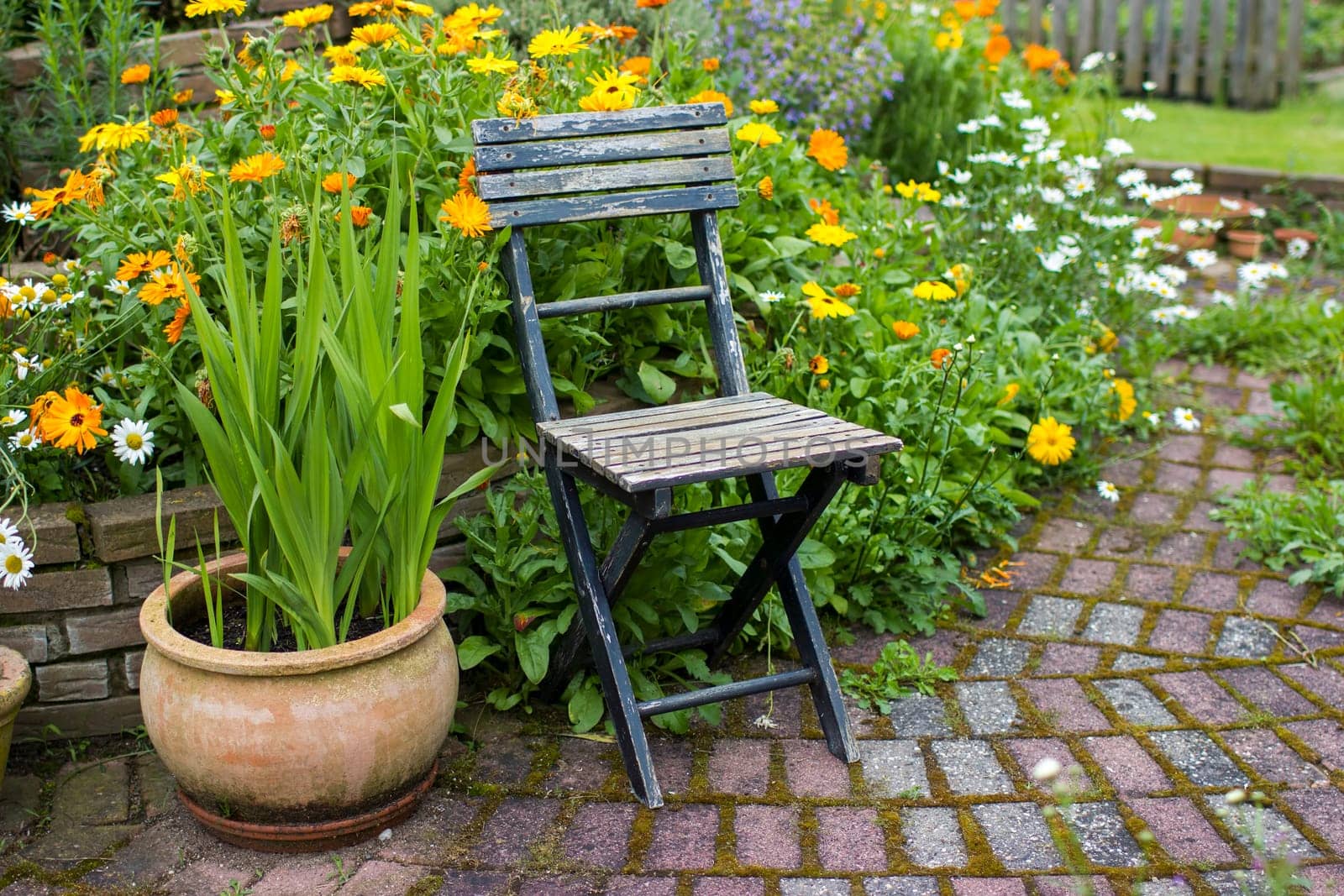 wild garden - herb spiral in the garden with fresh herbs and flowers and old chair