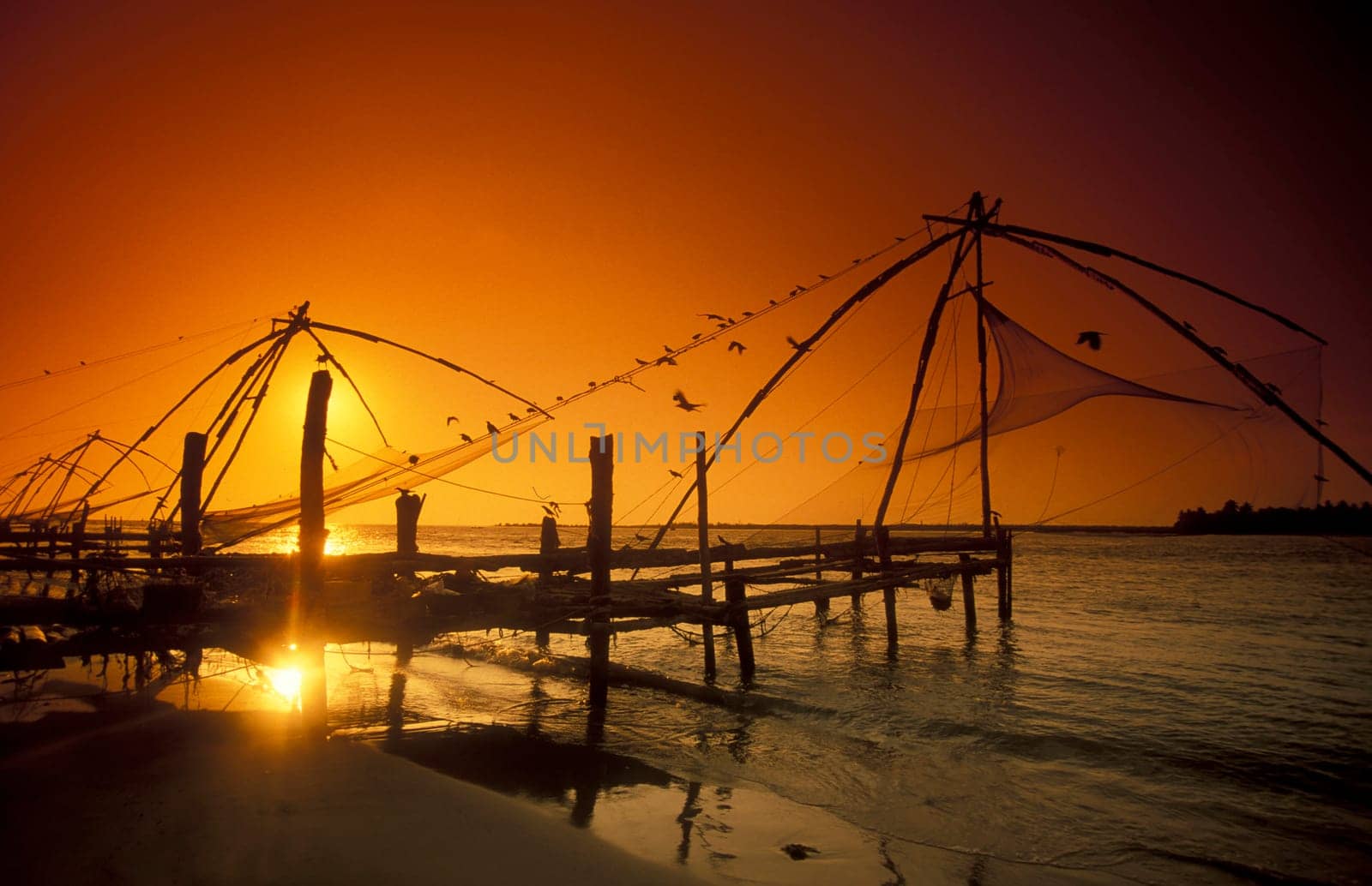the Chinese Fishing Net by sunset at the Coast in the city of Kochi or Cochin in the Province Kerala in India.  India, Cochin, April, 1998