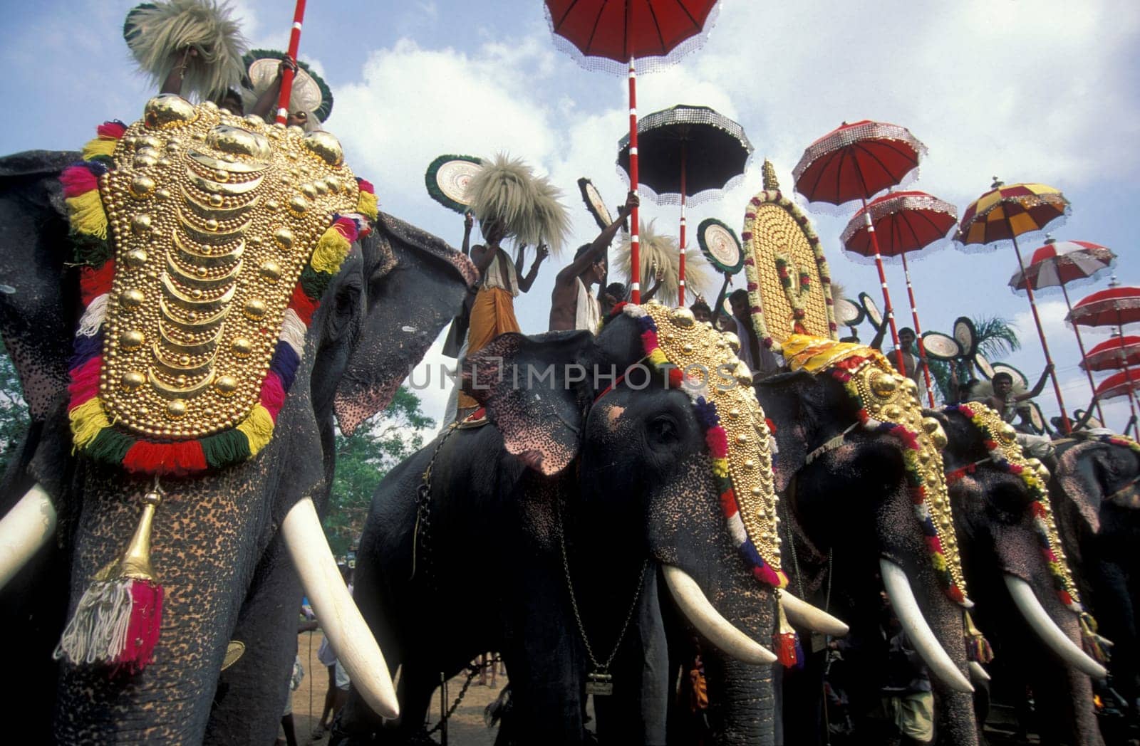 Farmers with their Elephants at the traditional Pooram or Elephant Festival and Temple Festival in the city of Thrissur or Trichur in the Province Kerala in India.  India, Thrissur, April, 1998
