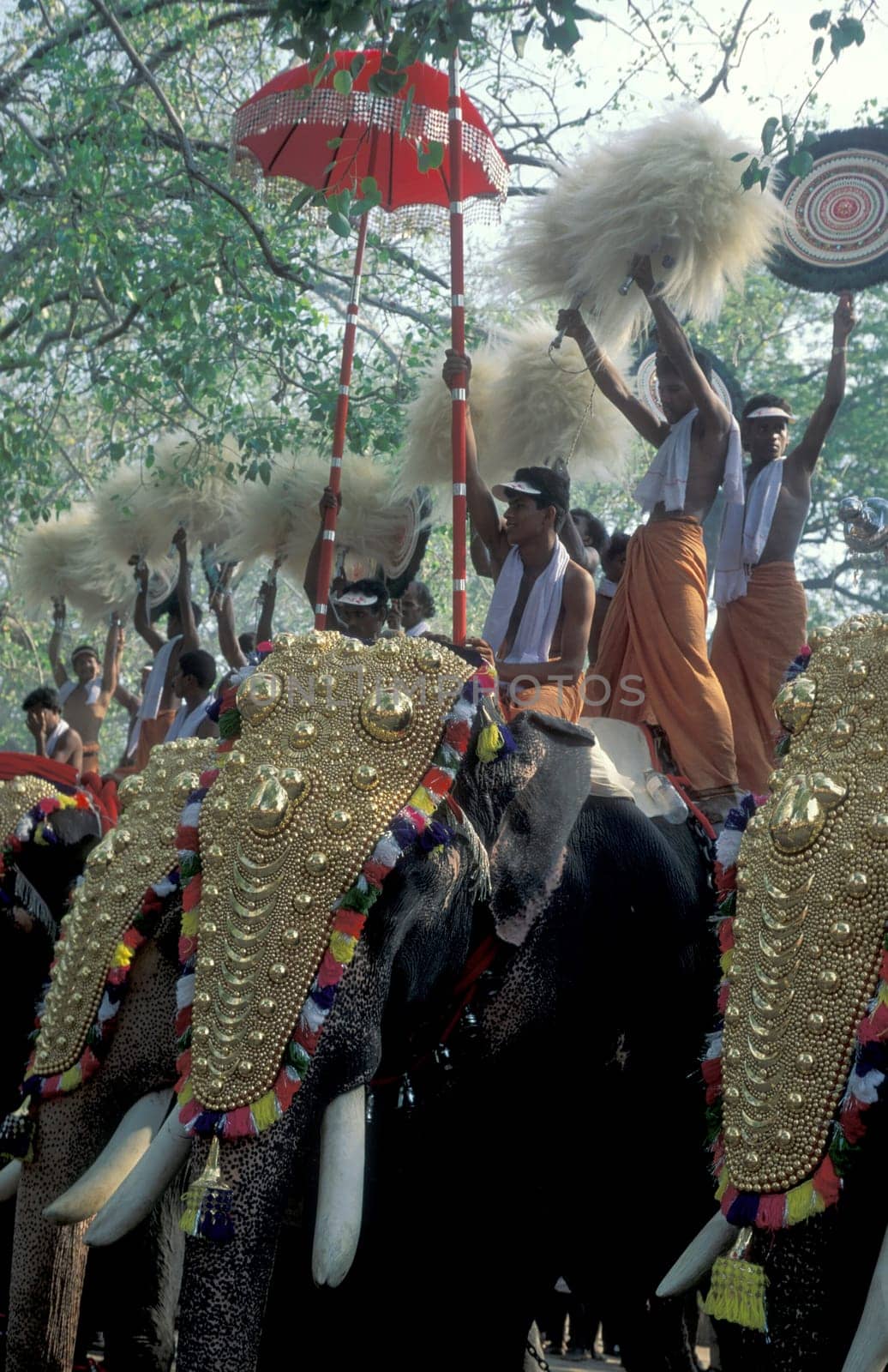 Farmers with their Elephants at the traditional Pooram or Elephant Festival and Temple Festival in the city of Thrissur or Trichur in the Province Kerala in India.  India, Thrissur, April, 1998